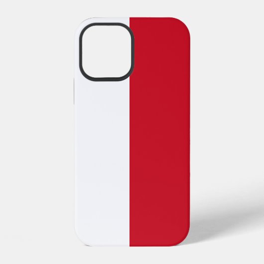 Coque iPhone 12 Monaco (Verso)