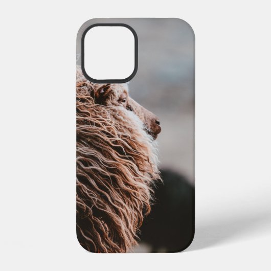 COQUE iPhone 12 MOUTON (Verso)