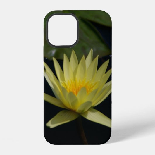 Coque iPhone 12 Nénuphar jaune Lotus (Verso)