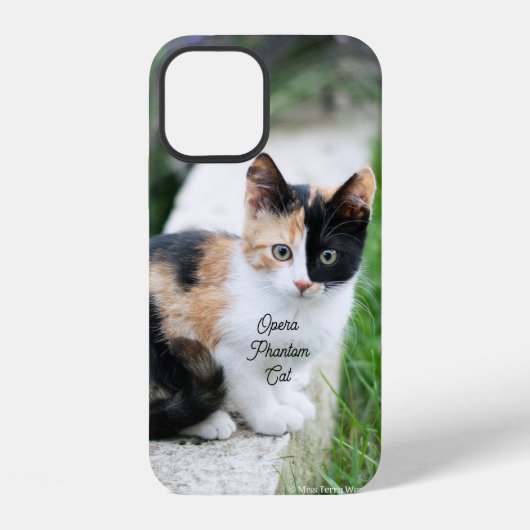 Coque iPhone 12 Opera Phantom Chat (Verso)