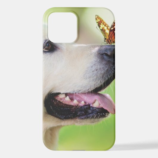 Coque iPhone 12 Oreiller À Lancer Du Labrador Et Du Papillon (Verso)