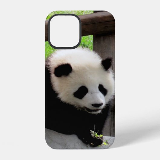 Coque iPhone 12 panda (Verso)