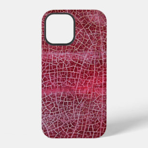 Coque iPhone 12 parc national de la vallée de la mort