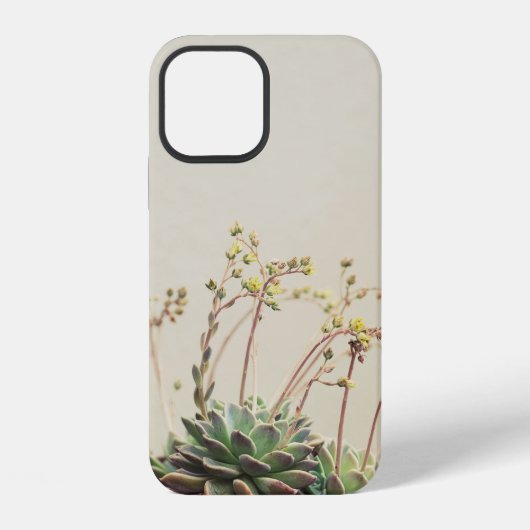 COQUE iPhone 12 PETITE SUCCULENTE DE JARDIN (Verso)