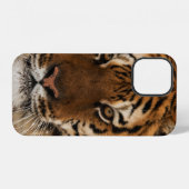 Coque iPhone 12 Photo de tête de tigre de Sibérie (Verso Horizontal)