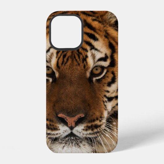 Coque iPhone 12 Photo de tête de tigre de Sibérie (Verso)