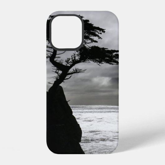 Coque iPhone 12 Photographie de la nature en noir et blanc (Verso)