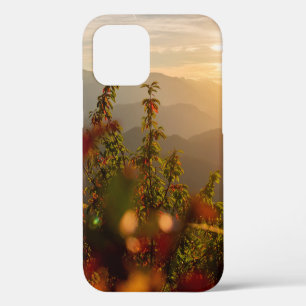 Coque iPhone 12 Photographie de nature d'arbres verts surplombant