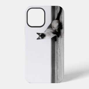 Coque iPhone 12 Photographie de portrait de chat siamois mignon