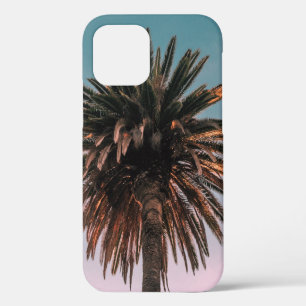 Coque iPhone 12 Photographie en angle bas de l'arbre brun