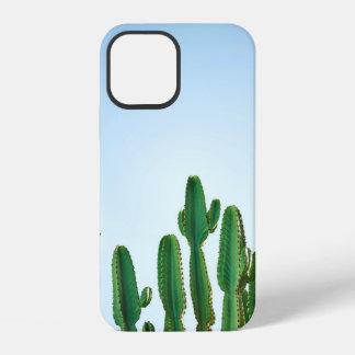 Coque iPhone 12 Plante de cactus vert sur fond blanc