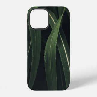 COQUE iPhone 12 PLANTE VERT