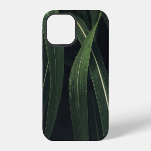 COQUE iPhone 12 PLANTE VERT (Verso)