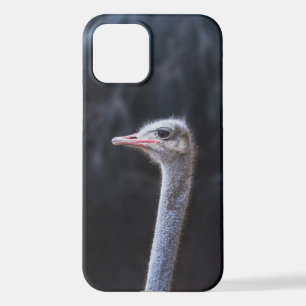 Coque iPhone 12 portrait d'autruche