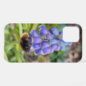 Coque iPhone 12 Pro Abeille sur Muscari Armeniacum, Grape Hyacinth (Verso Horizontal)