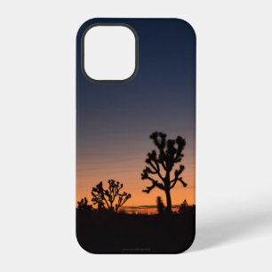 Coque iPhone 12 Pro Arbres de Joshua au coucher du soleil