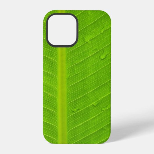 Coque iPhone 12 Pro Eau verte à la feuille (Verso)