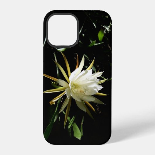 Coque iPhone 12 Pro Fleur de cactus (Verso)