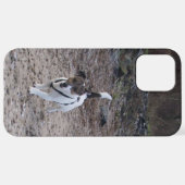 Coque iPhone 12 Pro Max Capo von Oppenheim, Jack Russell Terrier Chien (Retour horizontal)