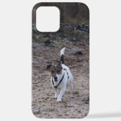 Coque iPhone 12 Pro Max Capo von Oppenheim, Jack Russell Terrier Chien (Verso)
