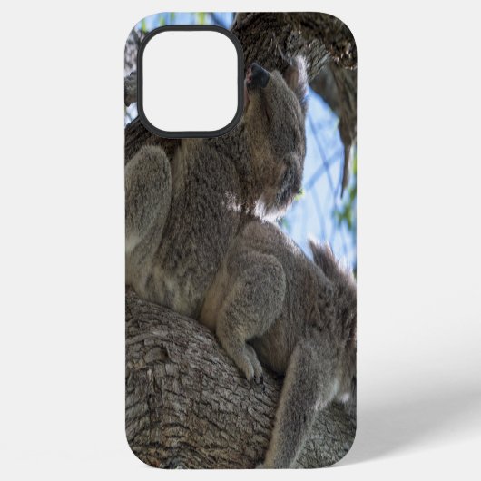 Coque iPhone 12 Pro Max Koala (Verso)