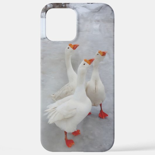 Coque iPhone 12 Pro Max Oie blanche (Verso)