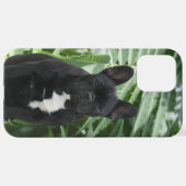 Coque iPhone 12 Pro Max Samsung Galaxy Coquille (Retour horizontal)