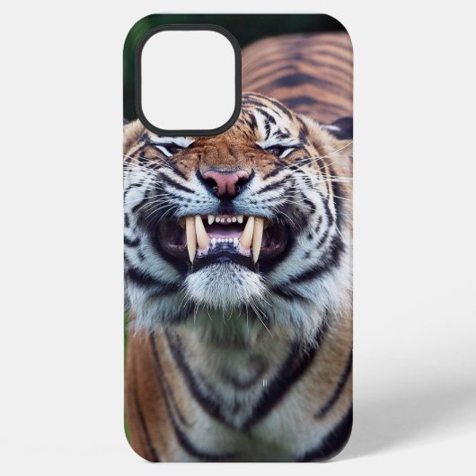 Coque iPhone 12 Pro Max "Tigre Tooth" (Verso)