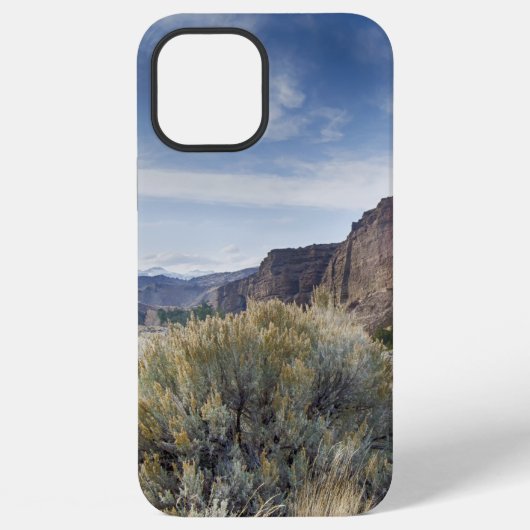 Coque iPhone 12 Pro Max Yellowstone (Verso)