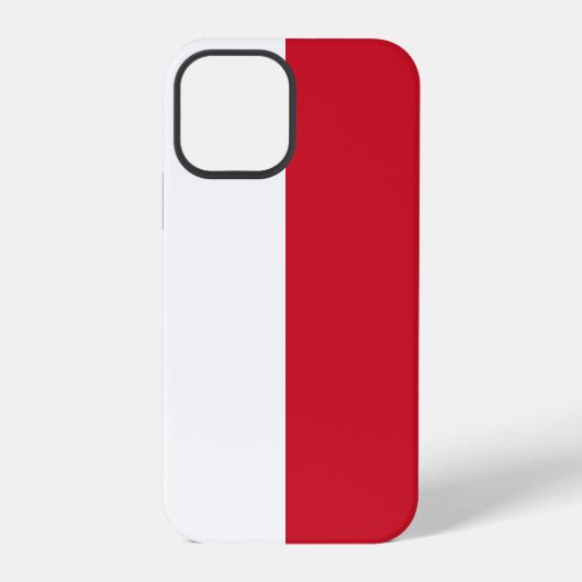Coque iPhone 12 Pro Monaco (Verso)