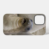 COQUE iPhone 12 PRO QUOI??? (Verso Horizontal)