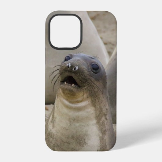COQUE iPhone 12 PRO QUOI??? (Verso)