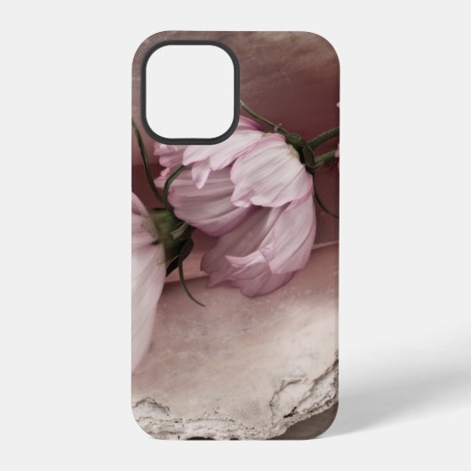 Coque iPhone 12 Pro Trois cosmos roses (Verso)