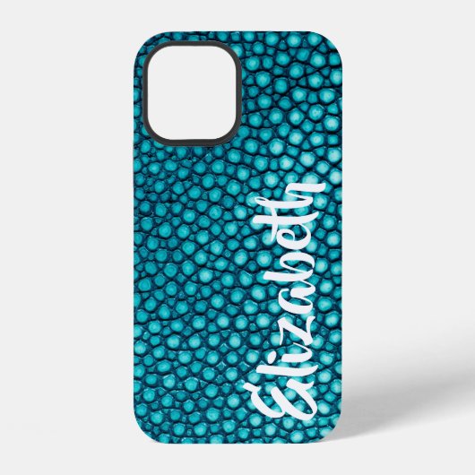 Coque iPhone 12 Raie Turquoise (Verso)
