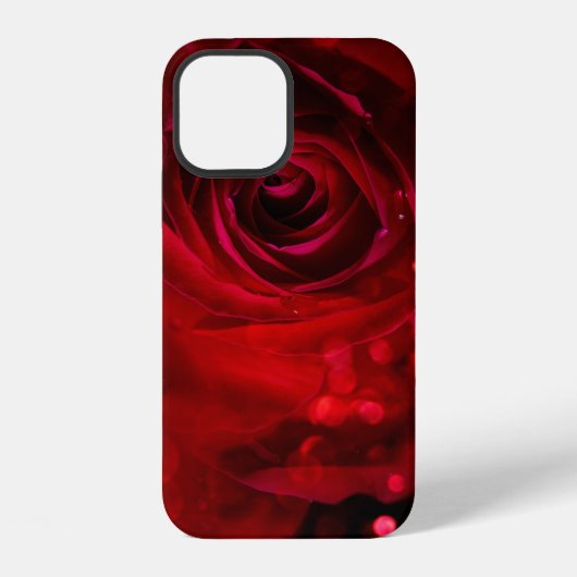 Coque iPhone 12 Red rose Valentine's day design (Verso)
