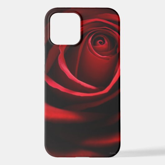 Coque iPhone 12 Rose rouge (Verso)