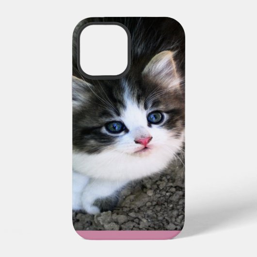 Coque iPhone 12 SUPER CUTE Stray Kitten (Verso)