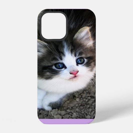Coque iPhone 12 SUPER MIGNON Chat Errant (Verso)