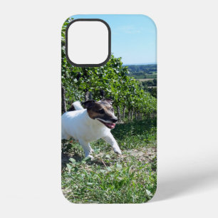 Coque iPhone 12 Tête de Capo von Oppenheim Terrier Jack Russell, C