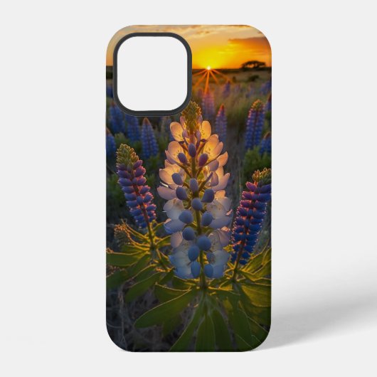 Coque iPhone 12 Texas Bluebonnet (Verso)