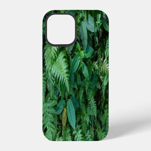 Coque iPhone 12 Texture de feuillage d'herbe et de fougère verte (Verso)