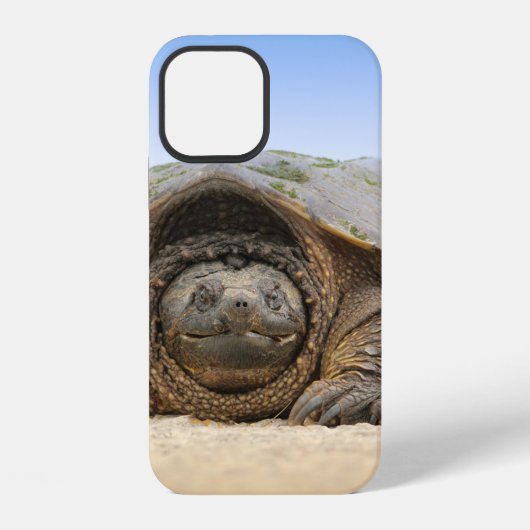 COQUE iPhone 12 TORTUE DE SABLE GRIS (Verso)