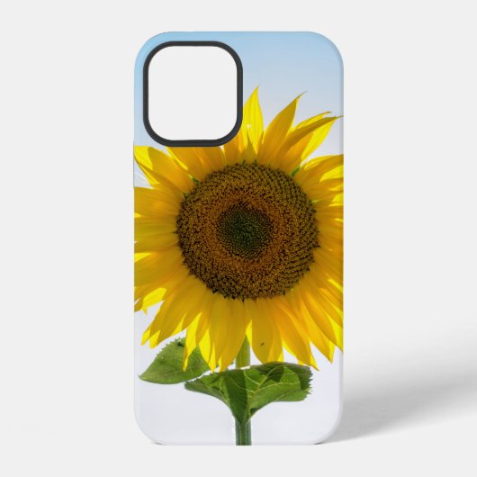 Coque iPhone 12 Tournesol jaune (Verso)