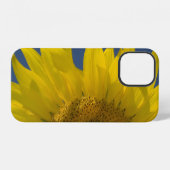 Coque iPhone 12 Tournesol Levant (Verso Horizontal)