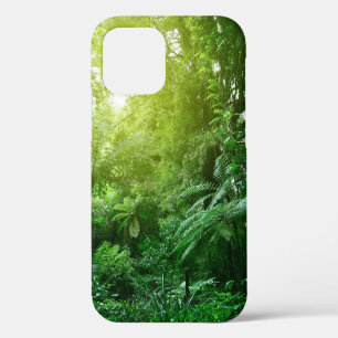 Coque iPhone 12 Un couvert d'arbres illuminé dans la jungle tropic