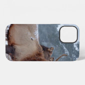 COQUE iPhone 12 UN GROUPE DE CERFS (Verso Horizontal)