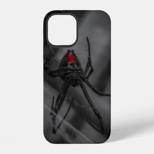 Coque iPhone 12 Veuve (Verso)