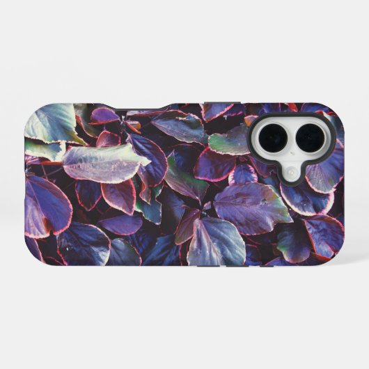 Coque iPhone 16 Acalypha Wilkesiana (Verso Horizontal)