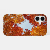 Coque iPhone 16 Autumn Canopy Fall Aesthetic Phone Case (Verso Horizontal)