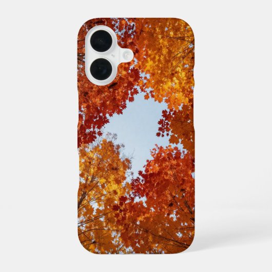 Coque iPhone 16 Autumn Canopy Fall Aesthetic Phone Case (Verso)